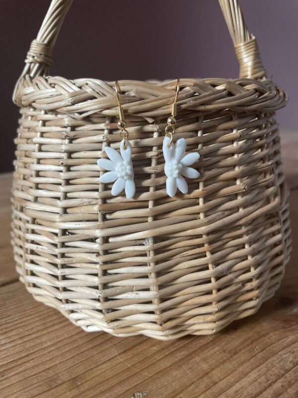 Mini demi-marguerites – Image 3