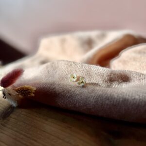 Puces d’oreilles Rosée